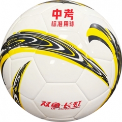 中学生体育考试标准用球