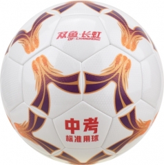 中学生体育考试标准用球
